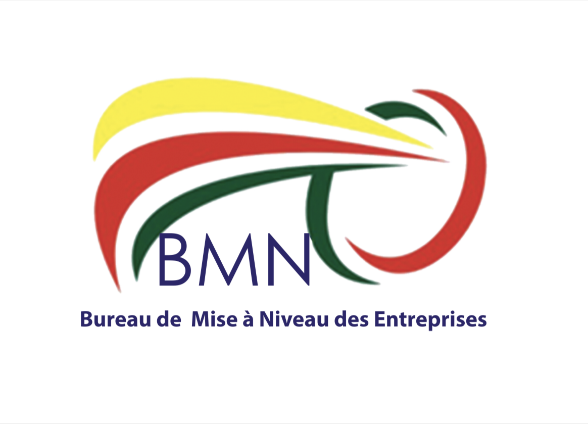 Logo BMN 1