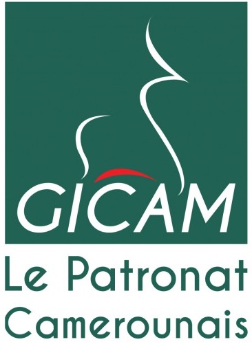 logo du GICAM